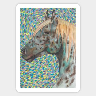 Beautiful appaloosa horse with lots of colors Sticker